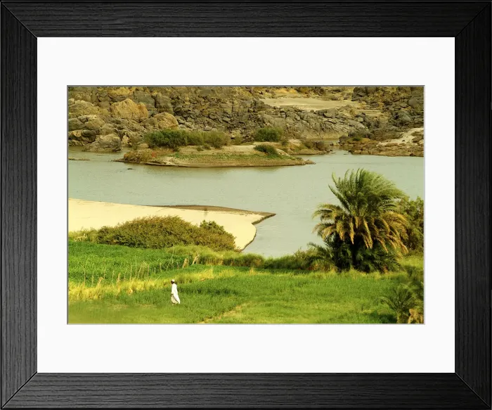 Framed Print : DDE-90022142