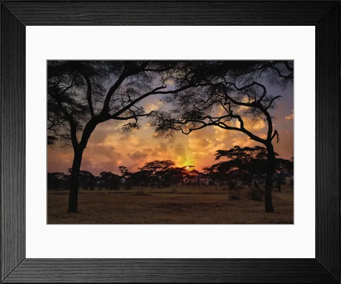 Framed Print : DDE-90022146 Framed Print : DDE-90022146