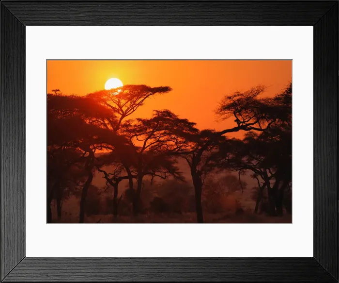 Framed Print : DDE-90022147 Framed Print : DDE-90022147