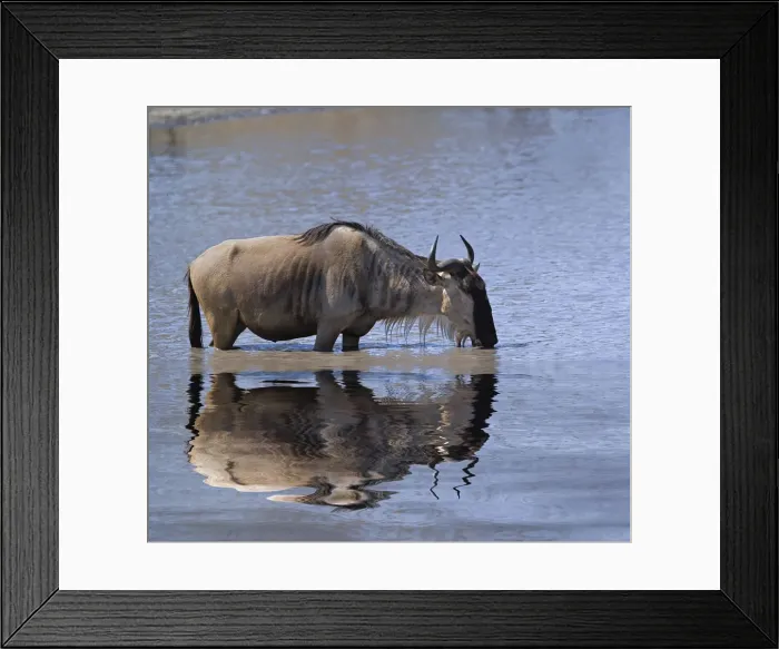Framed Print : DDE-90022149