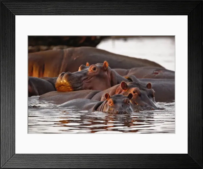 Framed Print : DDE-90022158 Framed Print : DDE-90022158