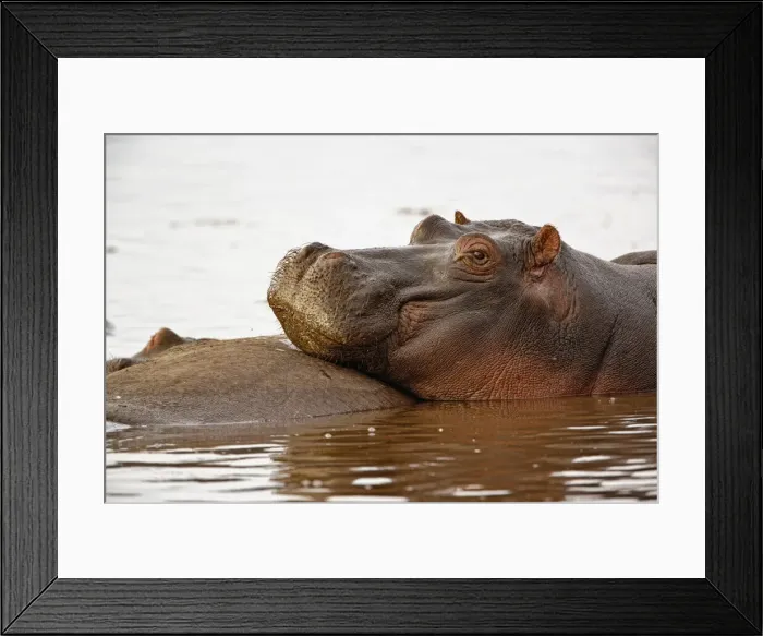 Framed Print : DDE-90022164 Framed Print : DDE-90022164