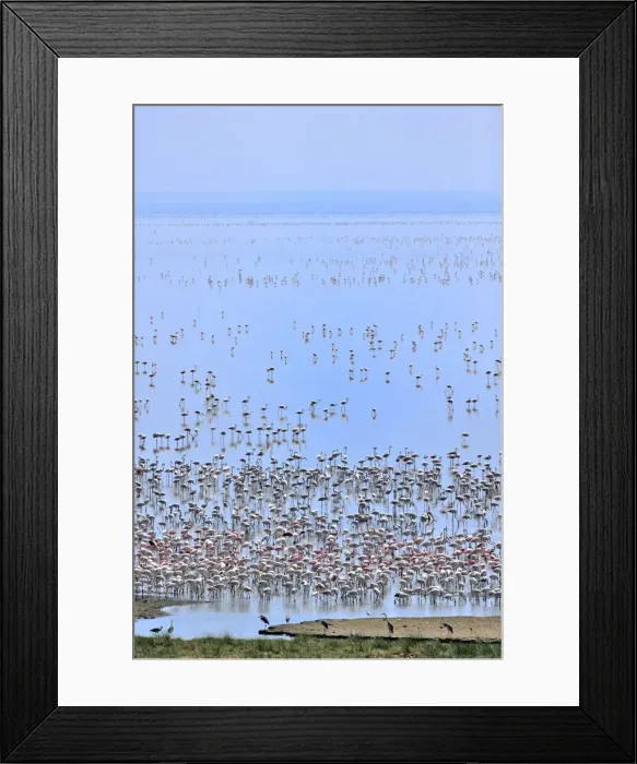 Framed Print : DDE-90022168 Framed Print : DDE-90022168