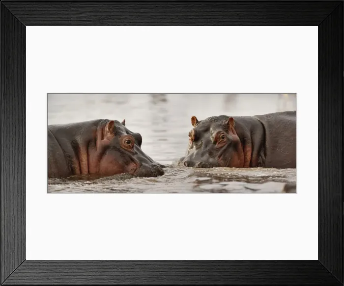 Framed Print : DDE-90022166 Framed Print : DDE-90022166