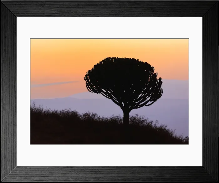 Framed Print : DDE-90022178 Framed Print : DDE-90022178