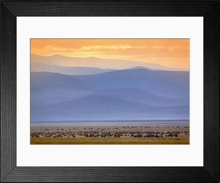 Framed Print : DDE-90022180 Framed Print : DDE-90022180