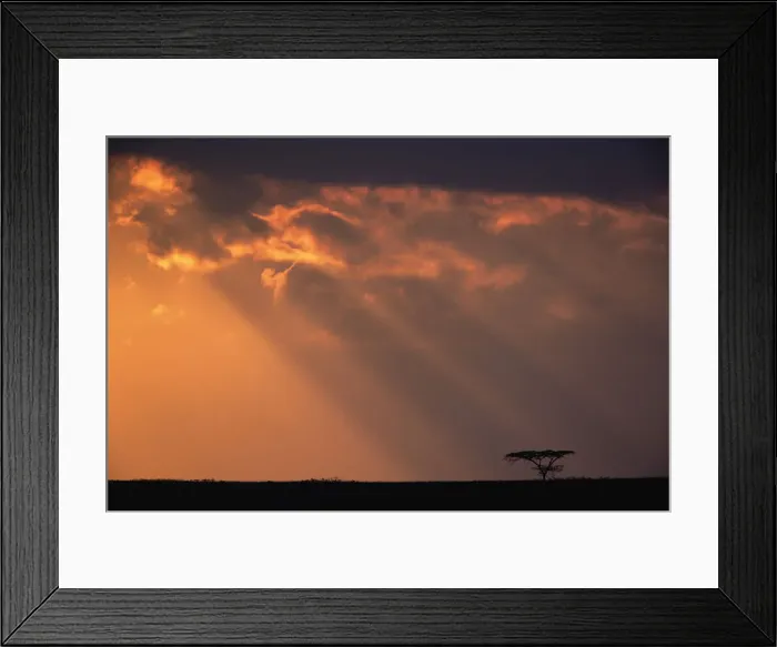 Framed Print : DDE-90022187 Framed Print : DDE-90022187