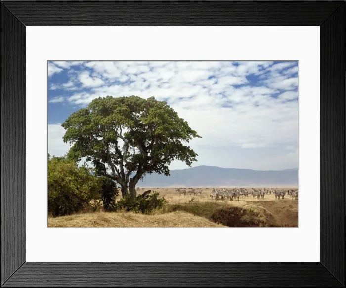 Framed Print : DDE-90022191 Framed Print : DDE-90022191