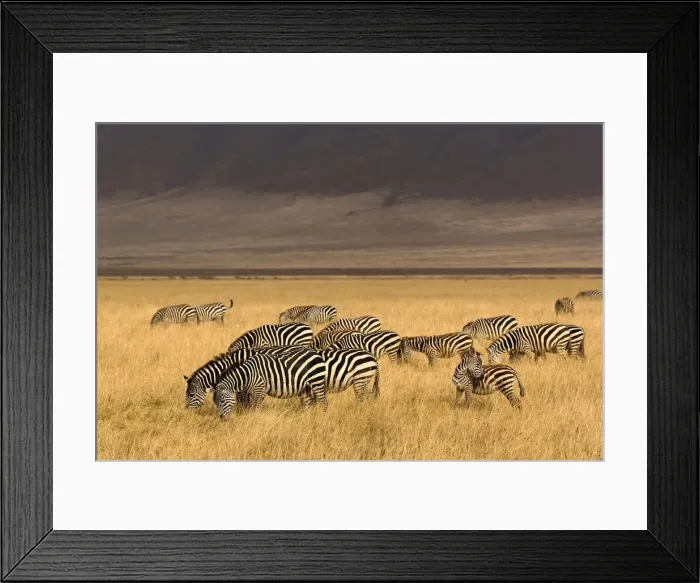 Framed Print : DDE-90022190 Framed Print : DDE-90022190
