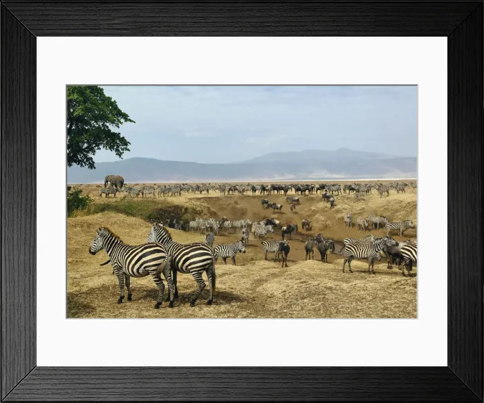 Framed Print : DDE-90022192 Framed Print : DDE-90022192