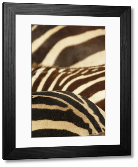 Framed Print : DDE-90022198