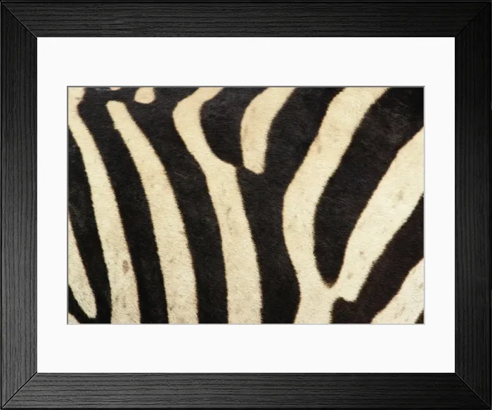 Framed Print : DDE-90022199 Framed Print : DDE-90022199