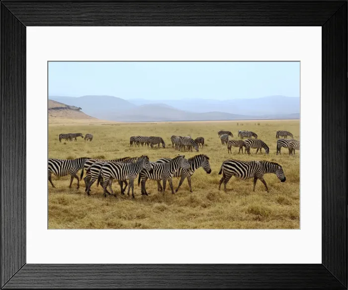 Framed Print : DDE-90022195 Framed Print : DDE-90022195