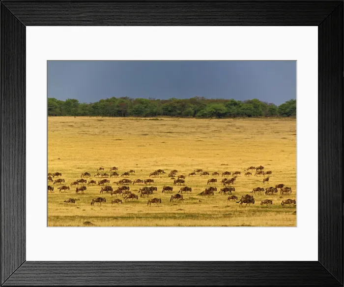 Framed Print : DDE-90022204