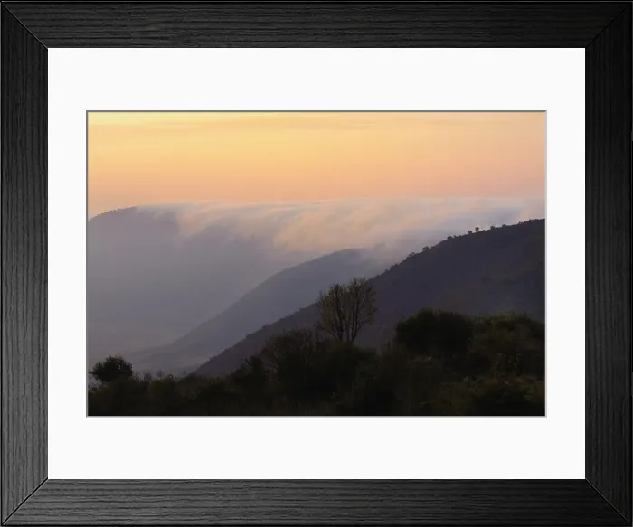 Framed Print : DDE-90022205 Framed Print : DDE-90022205