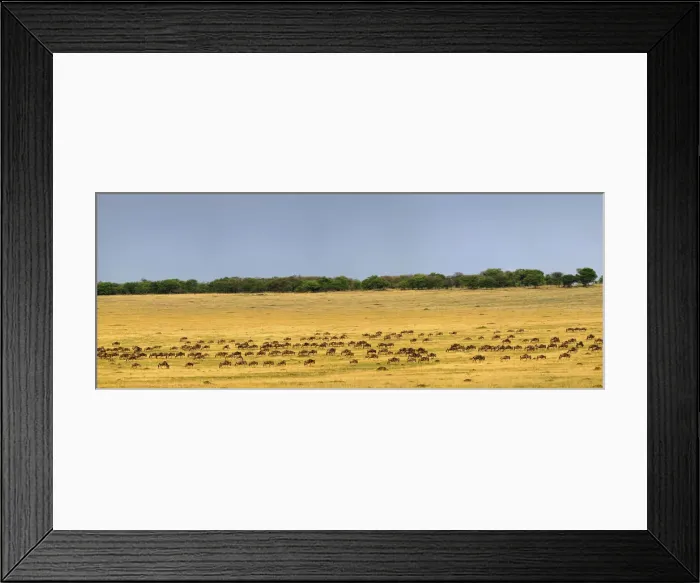 Framed Print : DDE-90022203 Framed Print : DDE-90022203