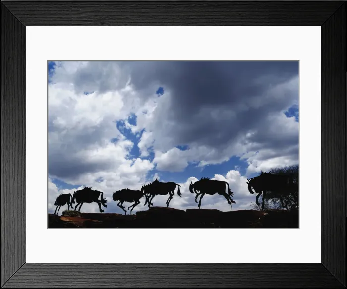 Framed Print : DDE-90022212 Framed Print : DDE-90022212