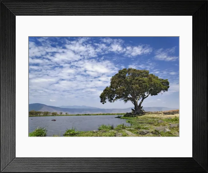 Framed Print : DDE-90022217 Framed Print : DDE-90022217