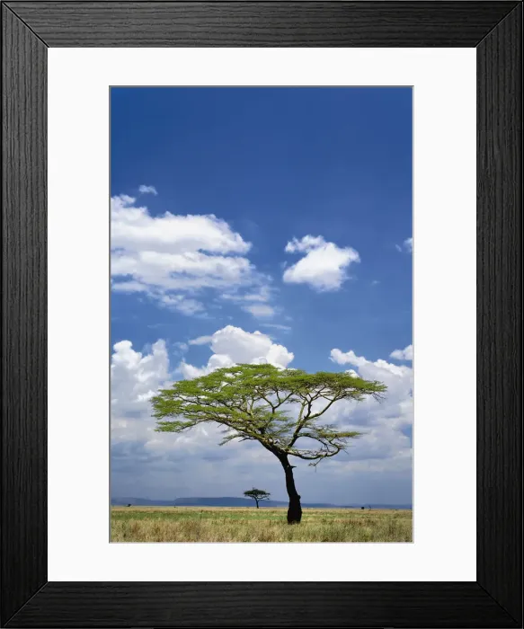 Framed Print : DDE-90022214 Framed Print : DDE-90022214