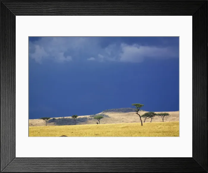 Framed Print : DDE-90022224 Framed Print : DDE-90022224
