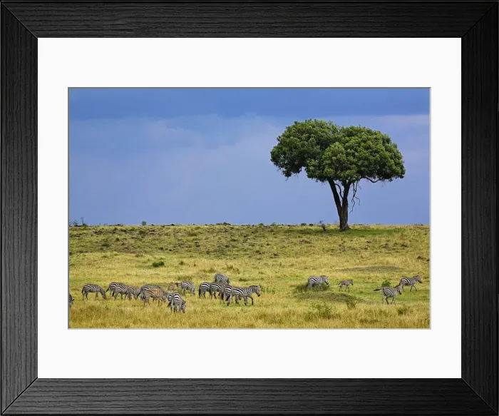Framed Print : DDE-90022225 Framed Print : DDE-90022225