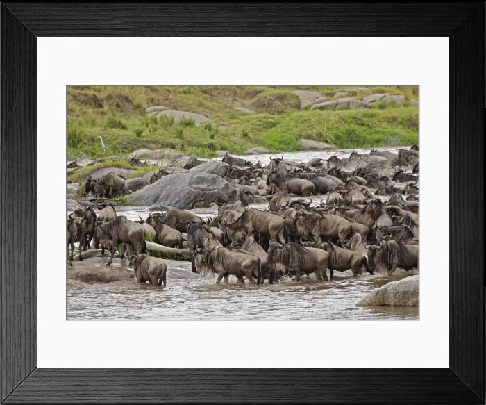 Framed Print : DDE-90022226 Framed Print : DDE-90022226