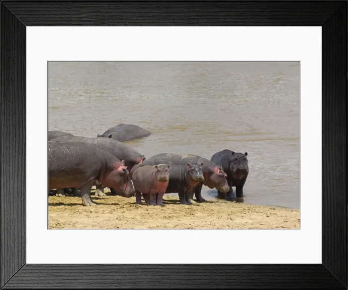 Framed Print : DDE-90022227 Framed Print : DDE-90022227