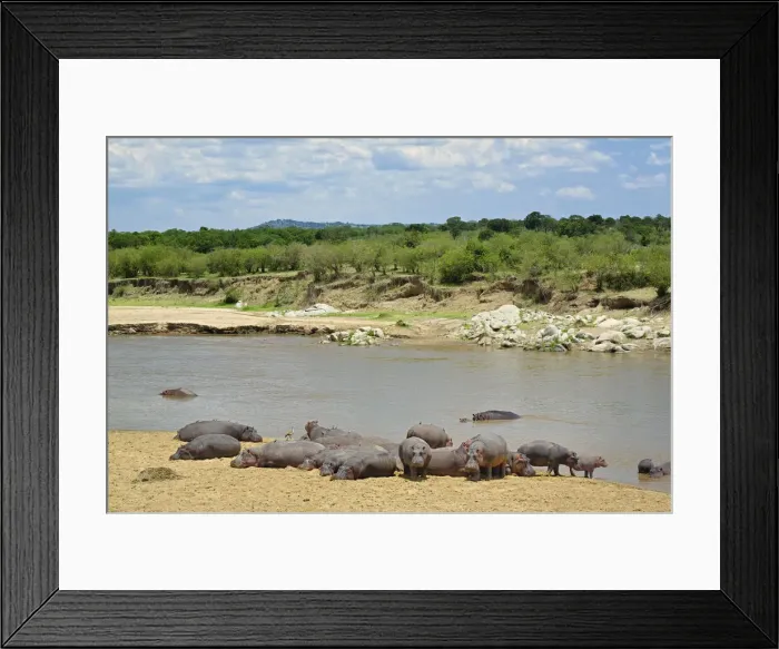 Framed Print : DDE-90022228 Framed Print : DDE-90022228