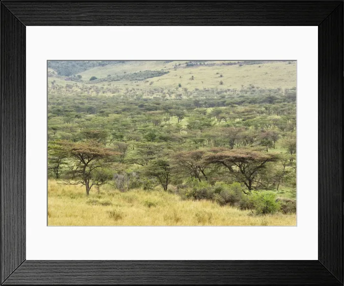 Framed Print : DDE-90022234 Framed Print : DDE-90022234