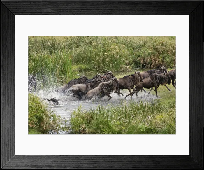 Framed Print : DDE-90022240 Framed Print : DDE-90022240