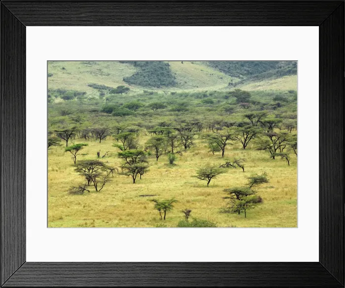 Framed Print : DDE-90022241 Framed Print : DDE-90022241