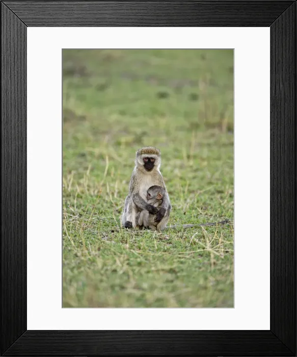 Framed Print : DDE-90022267