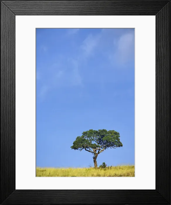 Framed Print : DDE-90022273 Framed Print : DDE-90022273