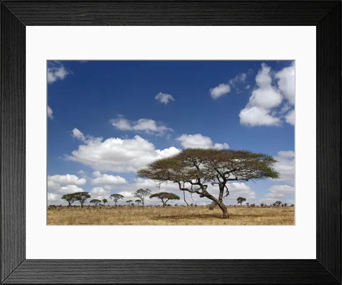 Framed Print : DDE-90022282 Framed Print : DDE-90022282