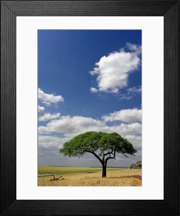 Framed Print : DDE-90022283 Framed Print : DDE-90022283