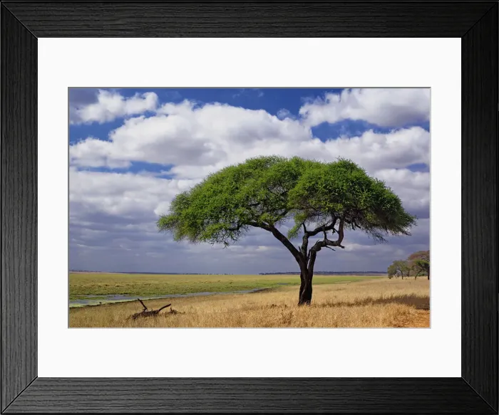 Framed Print : DDE-90022284 Framed Print : DDE-90022284