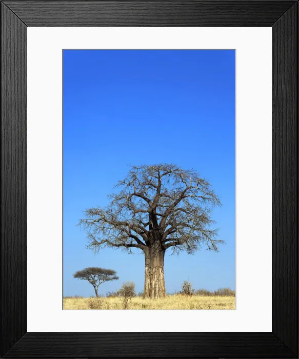 Framed Print : DDE-90022279 Framed Print : DDE-90022279