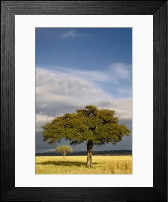 Framed Print : DDE-90022286 Framed Print : DDE-90022286