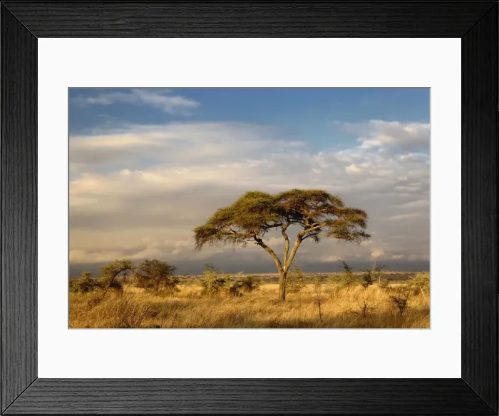 Framed Print : DDE-90022289 Framed Print : DDE-90022289