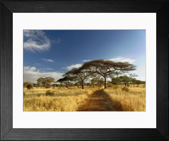 Framed Print : DDE-90022287 Framed Print : DDE-90022287