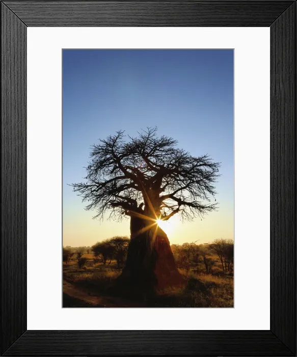 Framed Print : DDE-90022297 Framed Print : DDE-90022297