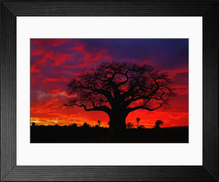 Framed Print : DDE-90022299