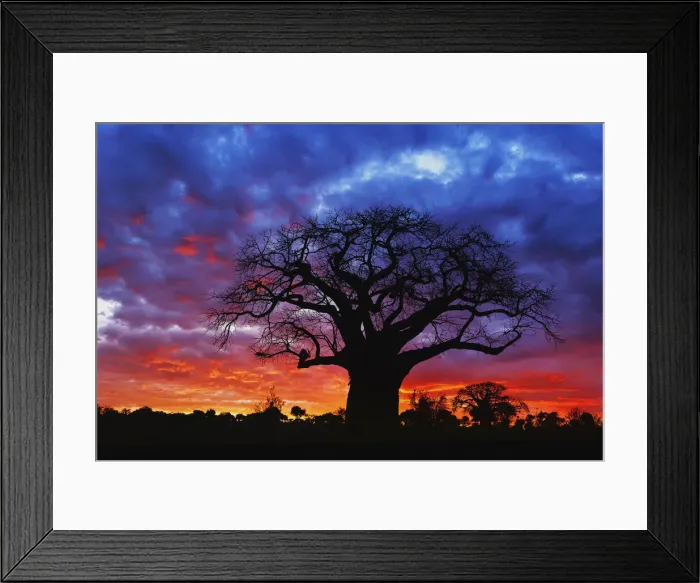 Framed Print : DDE-90022300 Framed Print : DDE-90022300