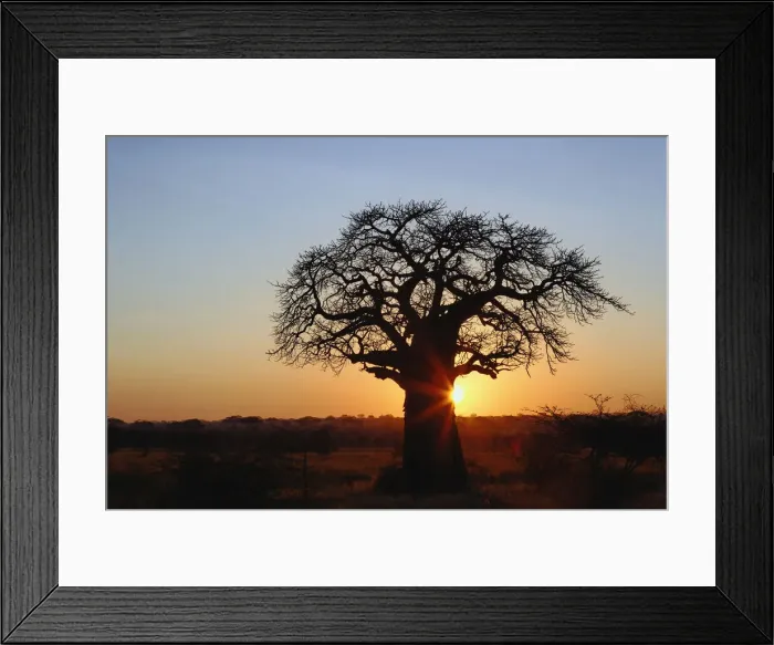 Framed Print : DDE-90022298 Framed Print : DDE-90022298