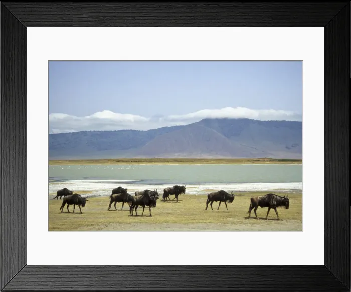 Framed Print : DDE-90022304 Framed Print : DDE-90022304
