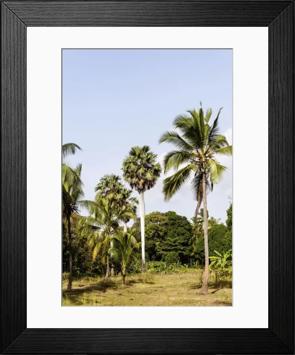Framed Print : DDE-90022314 Framed Print : DDE-90022314