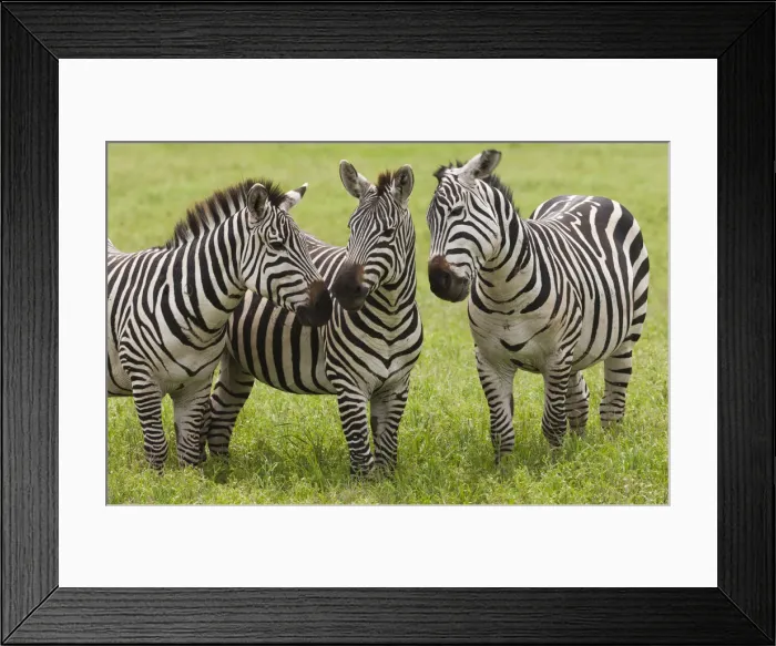 Framed Print : DDE-90022320