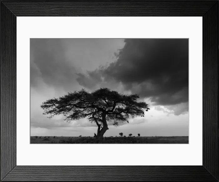 Framed Print : DDE-90022326 Framed Print : DDE-90022326
