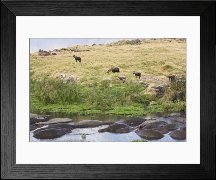 Framed Print : DDE-90022342 Framed Print : DDE-90022342