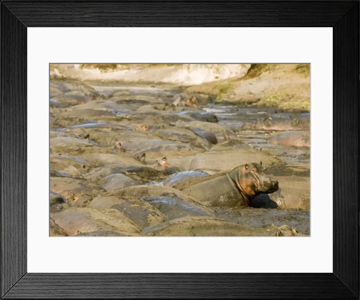 Framed Print : DDE-90022348 Framed Print : DDE-90022348